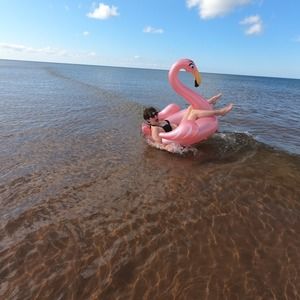 Meet your Posher, Sadie